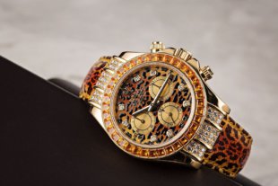 Редкая порода кошек: Rolex Daytona Leopard