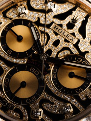 Редкая порода кошек: Rolex Daytona Leopard